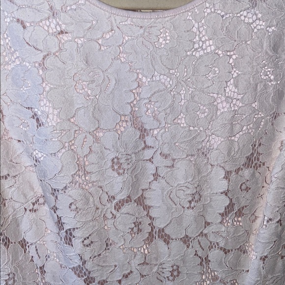 Ted Baker London Ameeya Flora Lace Fit & Flare Dress in Light Pink Pleated Skirt - Picture 12 of 17